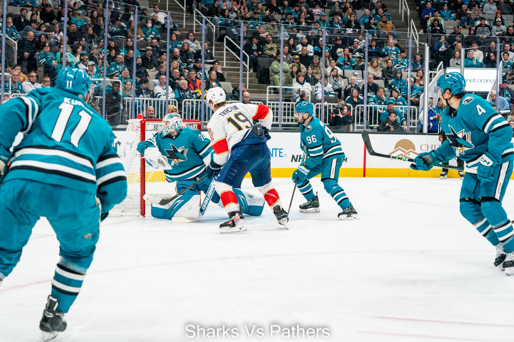 SHARKS TRAVOLTI DA FLORIDA
