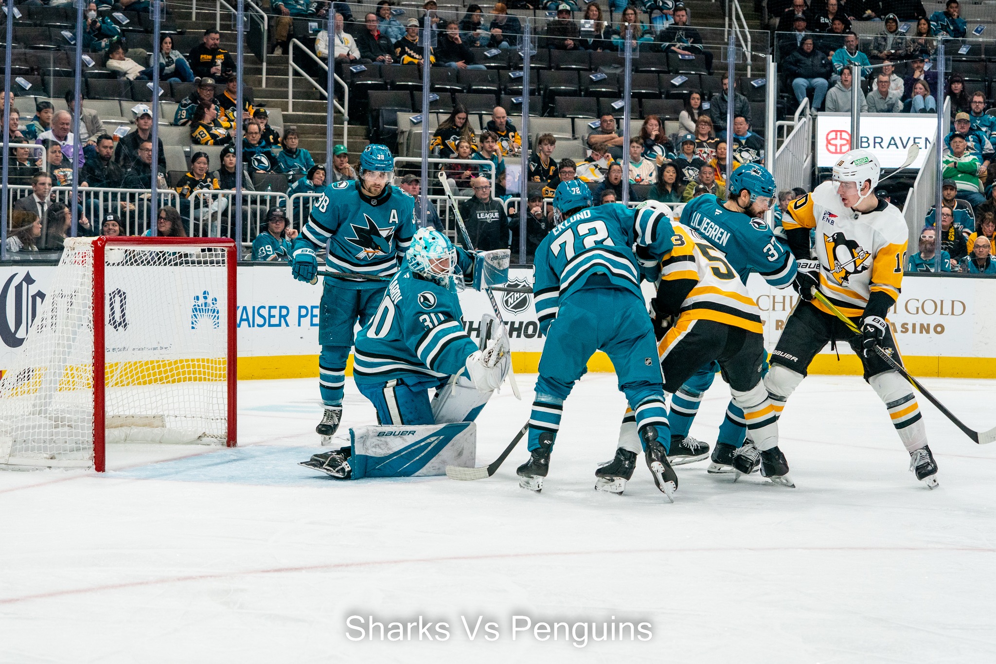 GLI SHARKS TORNANO A VINCERE