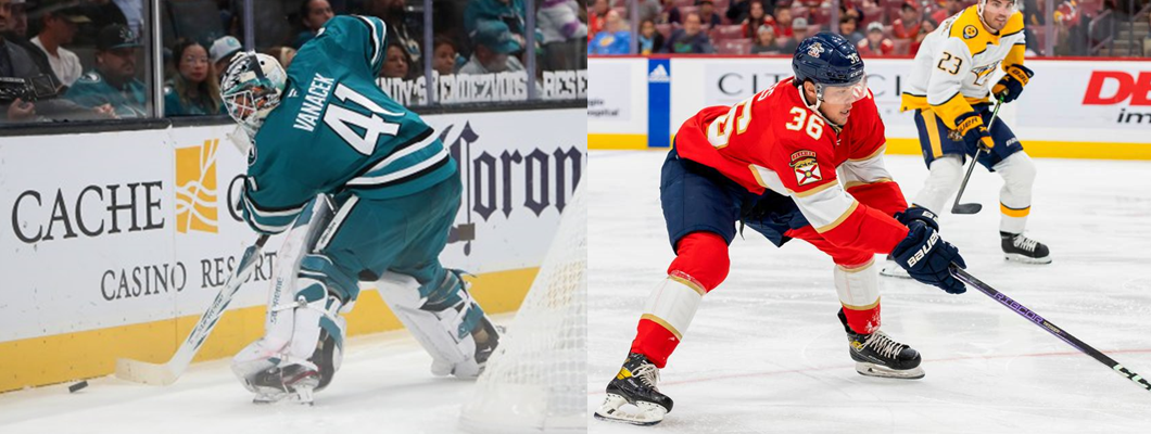 VANECEK CEDUTO AI PANTHERS