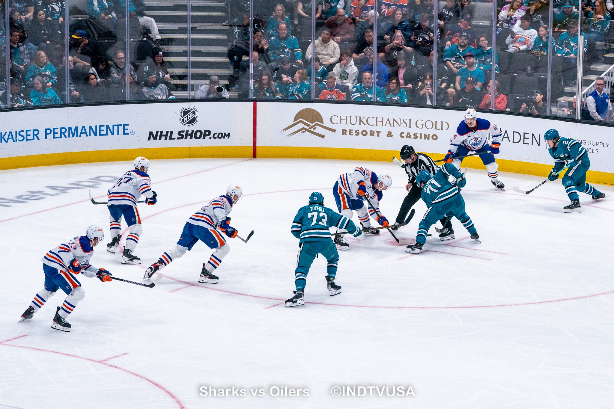 GLI SHARKS CHIUDONO LA STAGIONE CON UNA …